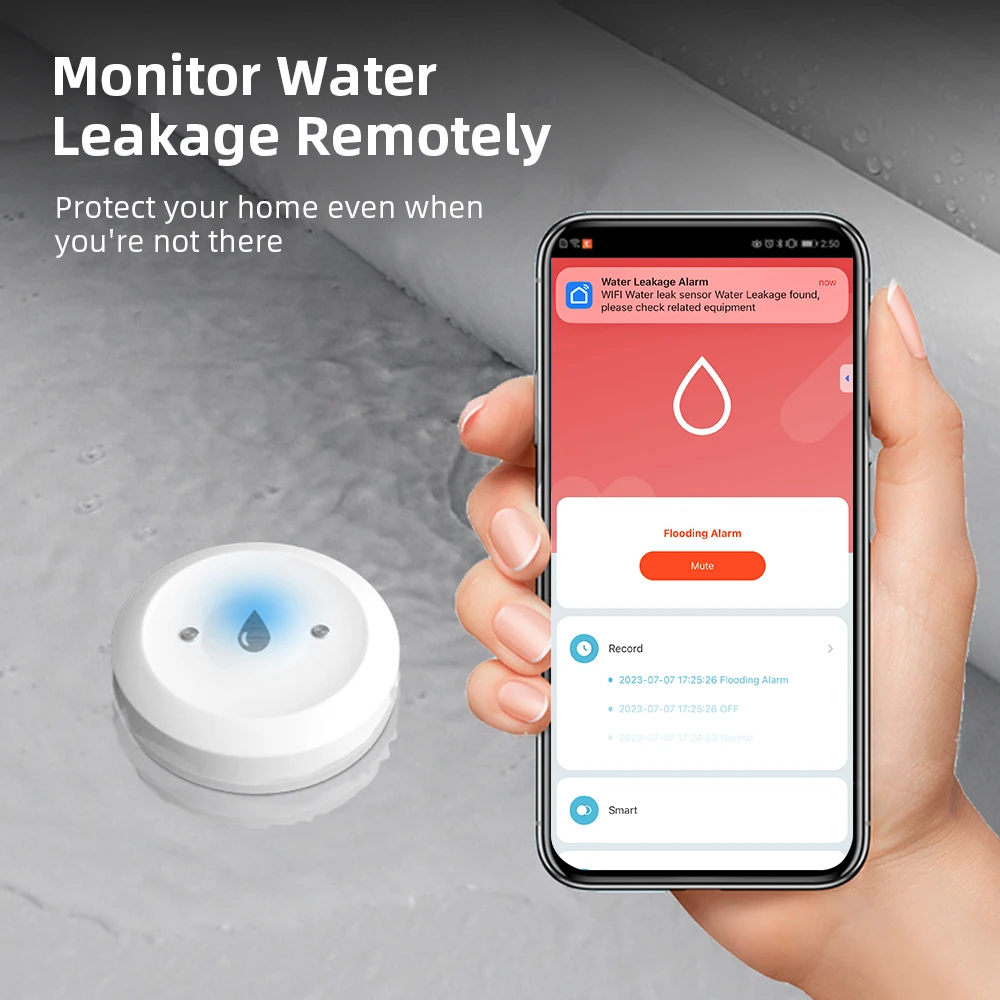 Smart Home Setup - Zigbee Water Leak Sensor for Tuya