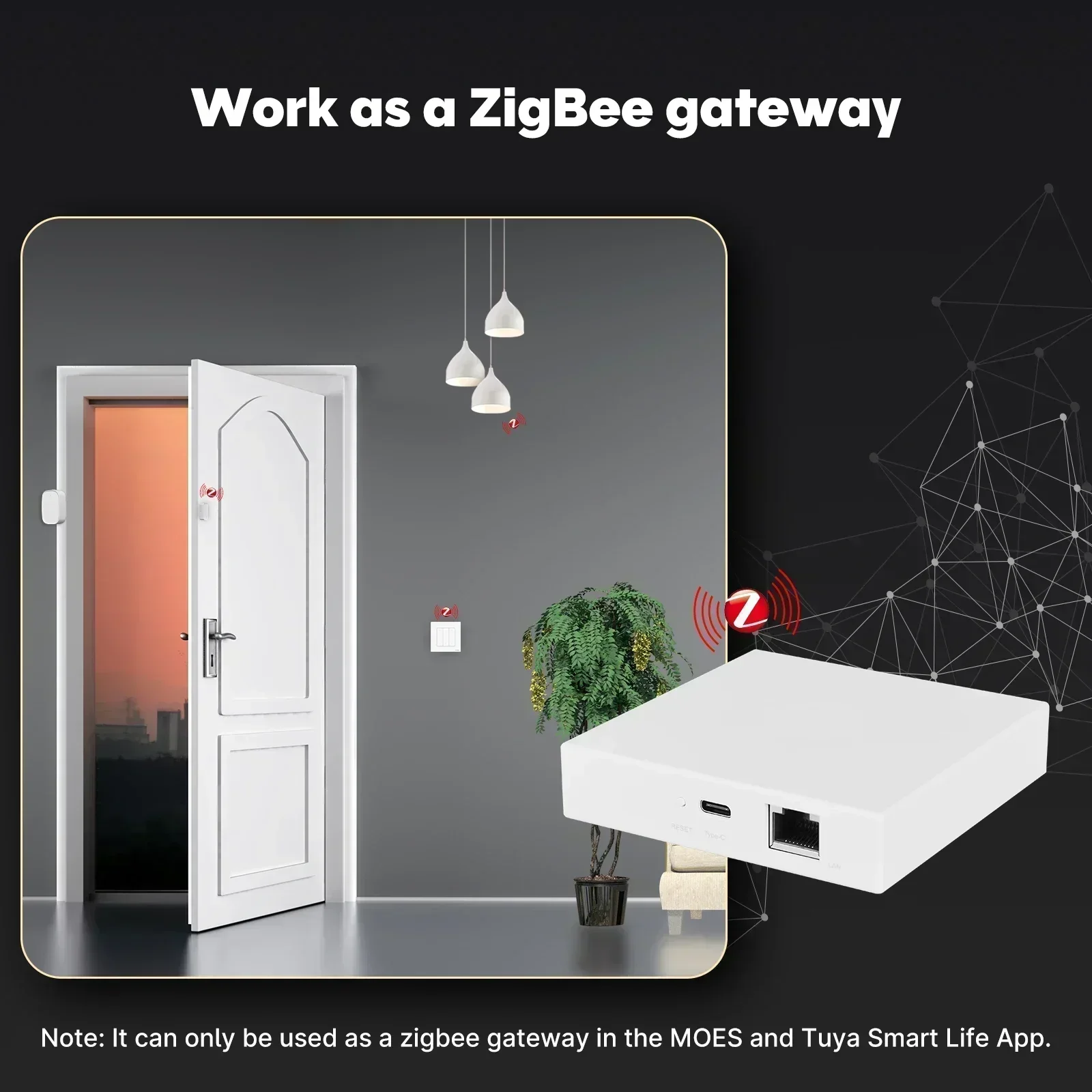 MOES Tuya Zigbee Matter Thread - Smart Home Registration 评论和价格