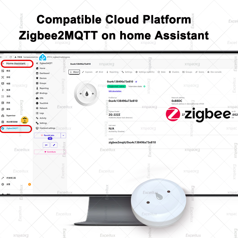 Zigbee Water Detector Leakage  - Smart Home Setup 评论和价格