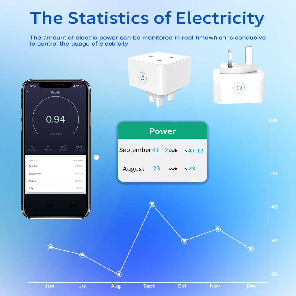 Tuya Smart Socket 16A/20A WiFi - Smart Home Setup 评论和价格