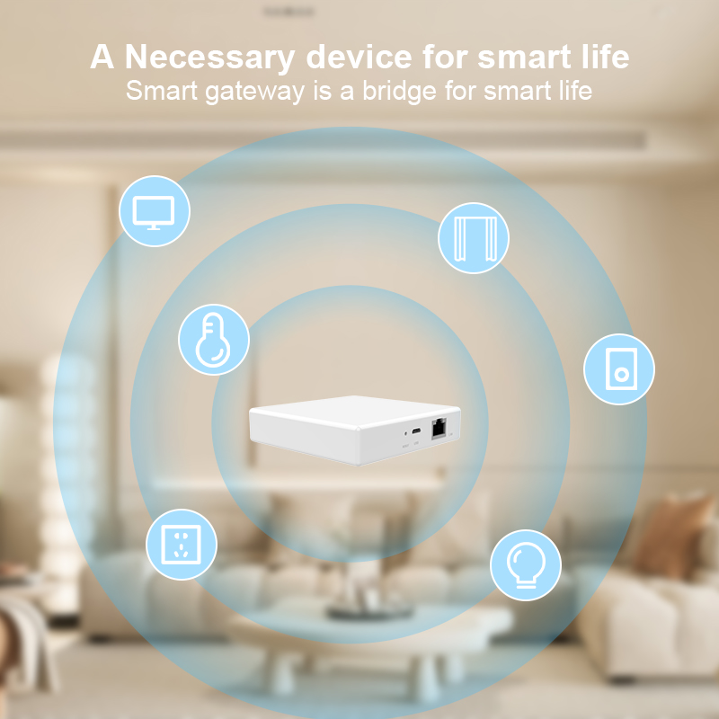 Matter Gateway Hub Homekit Tuy - Smart Home Hub Xiaomi 评论和价格