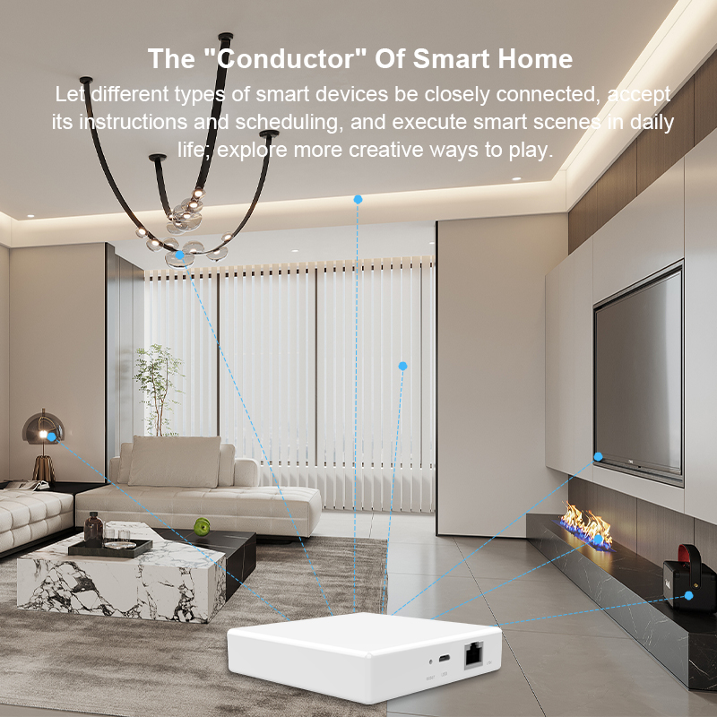Matter Gateway Hub Homekit Tuy - Smart Home Hub Xiaomi 评论和价格