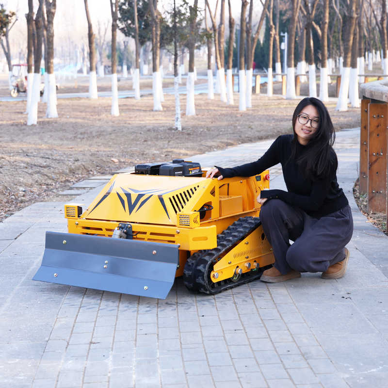 Customized Smart Durable Grass - Smart Home Energy 评论和价格