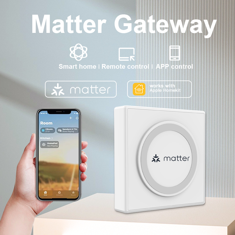 RSH Matter Gateway Tuya Zigbee - Smart Home Hub Device 评论和价格